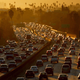 Image for article titled California Governor Wants $1.5 Billion To Clean Trash-Filled Freeways